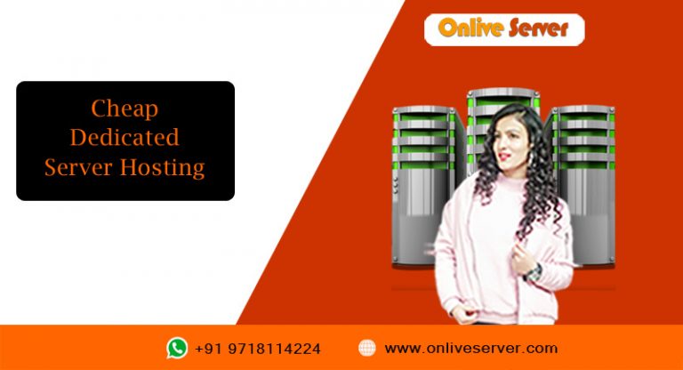 The Assistance of Cheap Dedicated Server Hosting