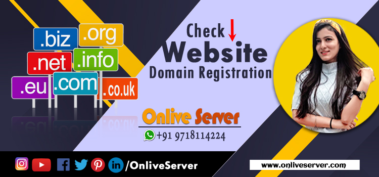 Disadvantages Encountered While You Check Website Domain Registration