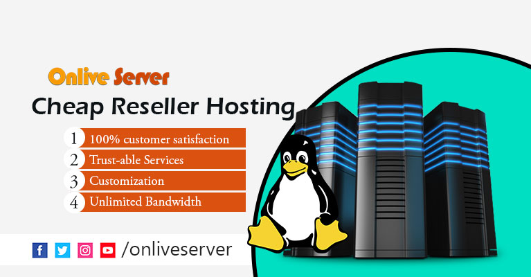 How to Choose the best Cheap Reseller hosting services?