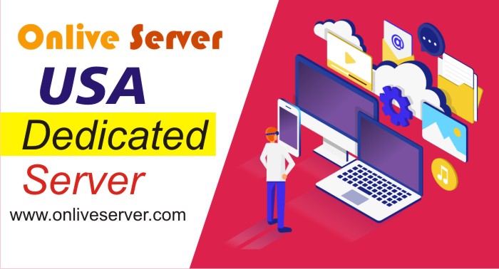 USA Dedicated Server Plans is an excellent choice for any business by Onlive Server