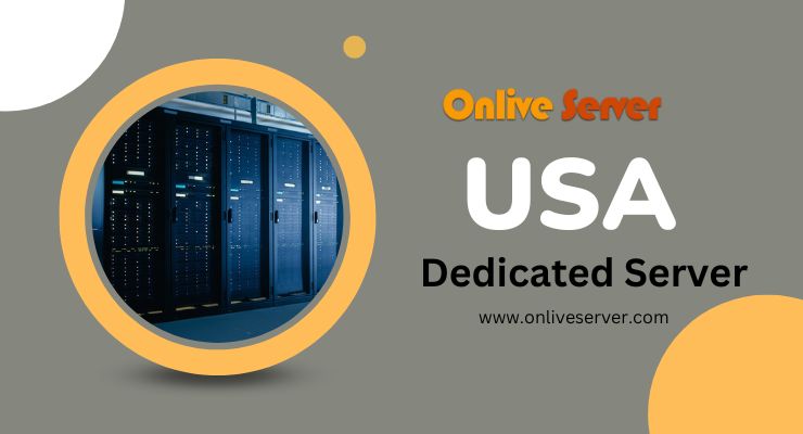 Dedicated Server in the USA: Speed, Stability, and Cost-Effective Hosting
